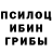 Галлюциногенные грибы Psilocybe RNC