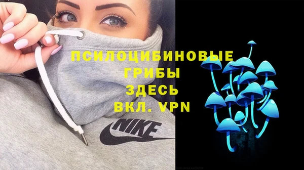 амф Абинск