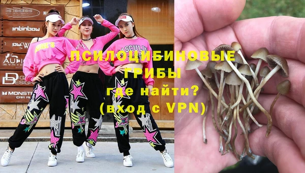 прущая мука Абаза