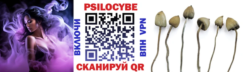 Псилоцибиновые грибы Cubensis  Собинка 